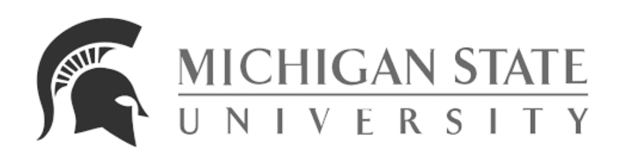 Michigan State University